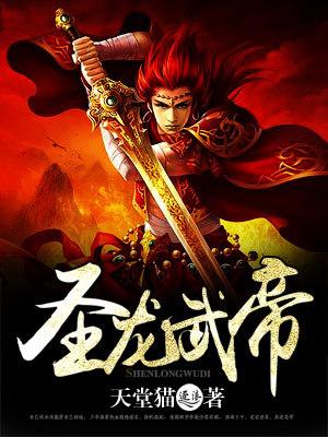 圣龙帝主后续剧情解析