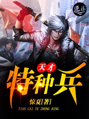 特种兵之天才黑客
