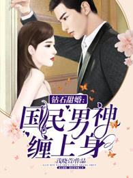 钻石宠婚国民男神缠上上身全文免费阅读免费