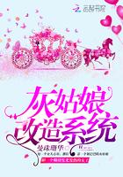 灰姑娘之变