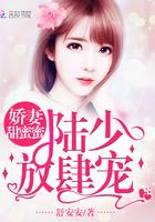 娇宠萌妻陆少心头宝