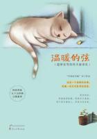 温暖的弦mv