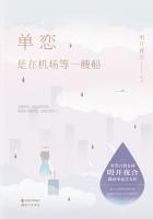 你是在机场等一艘船