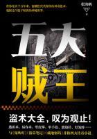 有名的侠盗