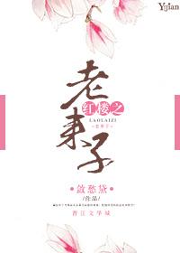 红楼之老来子TXT 智能体