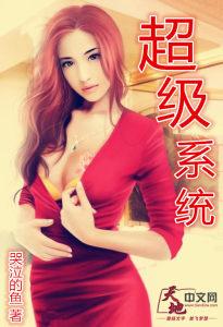 超级系统丁爽