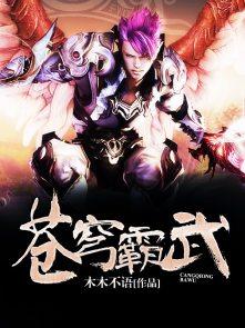 苍穹霸诀奇书