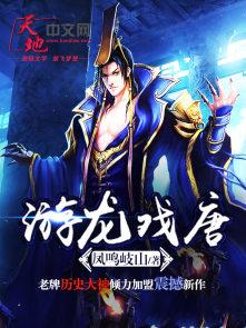 游龙戏凤完整版