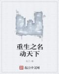 名动天下txt免费