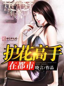 护花高手在都市完结
