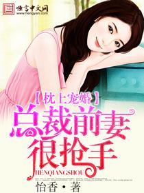枕上婚宠总裁追妻忙不停免费阅读