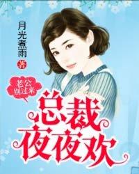 总裁老公别过来