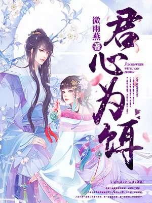 君心为饵作者流年是你免费看