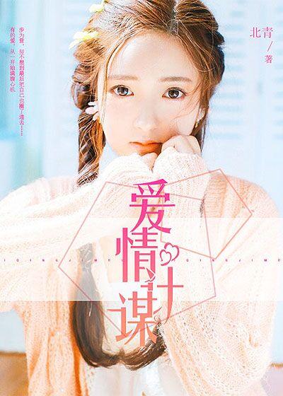 爱情计谋免费全集观看