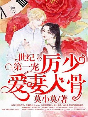 世纪笫一宠厉少爱妻入骨