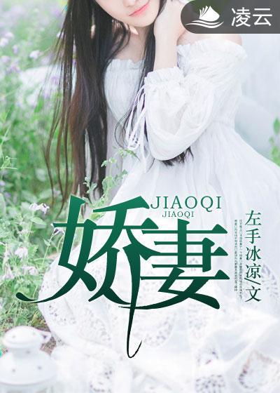 娇妻和儿子