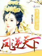 凤逆天下灵尊与凰北月