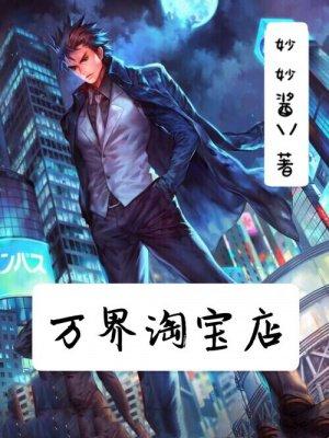 万界淘宝店完本