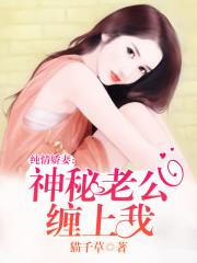 帝少的神秘新妻