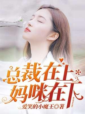 总裁在上8