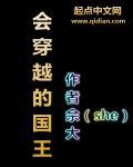会穿越的国王同类书籍推荐