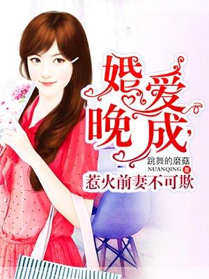 惹爱成婚前妻凶猛