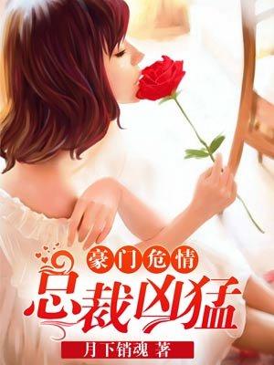 豪门危情总裁太霸道笔趣阁