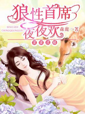 狼性首席豪宠酷拽坏宝贝