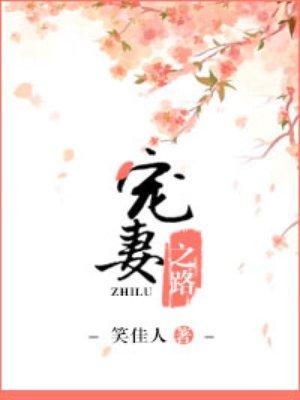 宠妻之路 作