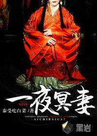一夜冥妻免费听书