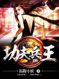 功夫兵王 第494章