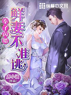 奉子闪婚新妻不准逃免费阅读全文
