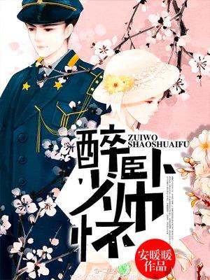 醉卧少帅怀书包简介预览