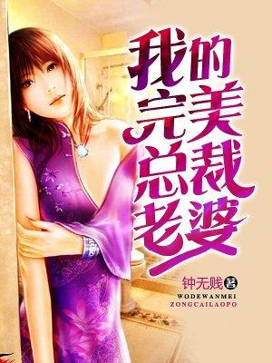 我的完美总裁老婆叶凡