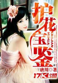 护花宝鉴电子书TXT