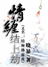 锦衾灿兮txt盘