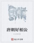 唐朝相公是什么意思