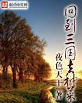 回到三国犯罪片