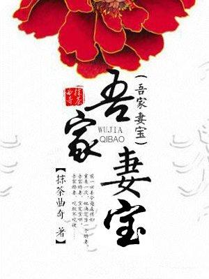 吾家妻宝华欣免费阅读