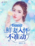 盛世宠妻100式免费