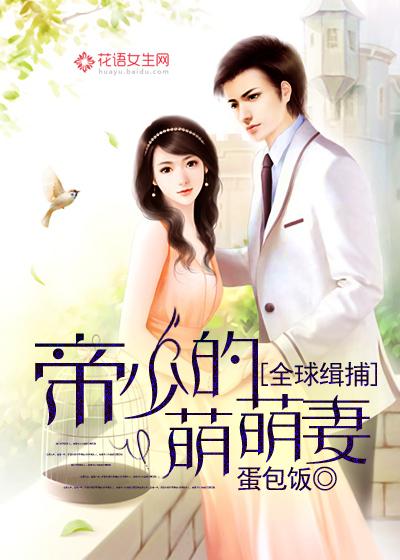 第一宠婚全球缉捕少夫人免费全文