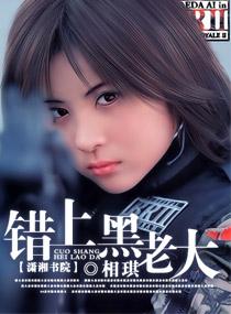 错上黑老大简介