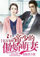 帝少宠妻无上限