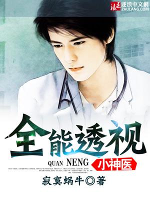 全能透视神医精校