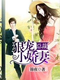 总裁狠宠小娇妻 锦夜