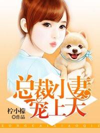 总裁小妻宠上天免费