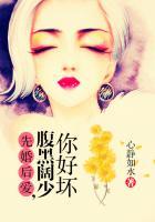 先婚后爱腹黑老公爆萌妻