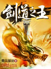 剑道之王十锻十粹章节