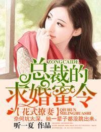 总裁花式追妻