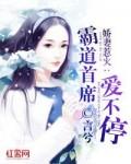 总裁别乱啃免费读